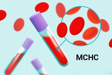 چگونه سطح پایین MCHC در آزمایش خون را درمان کنیم؟