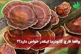 آیا قارچ گانودرما برای زگیل تناسلی خوب است؟