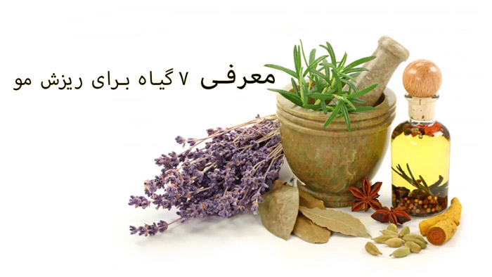 آشنایی با 7 گیاه برای ریزش مو که معجزه می کند