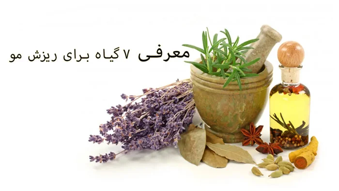 آشنایی با 7 گیاه برای ریزش مو که معجزه می کند