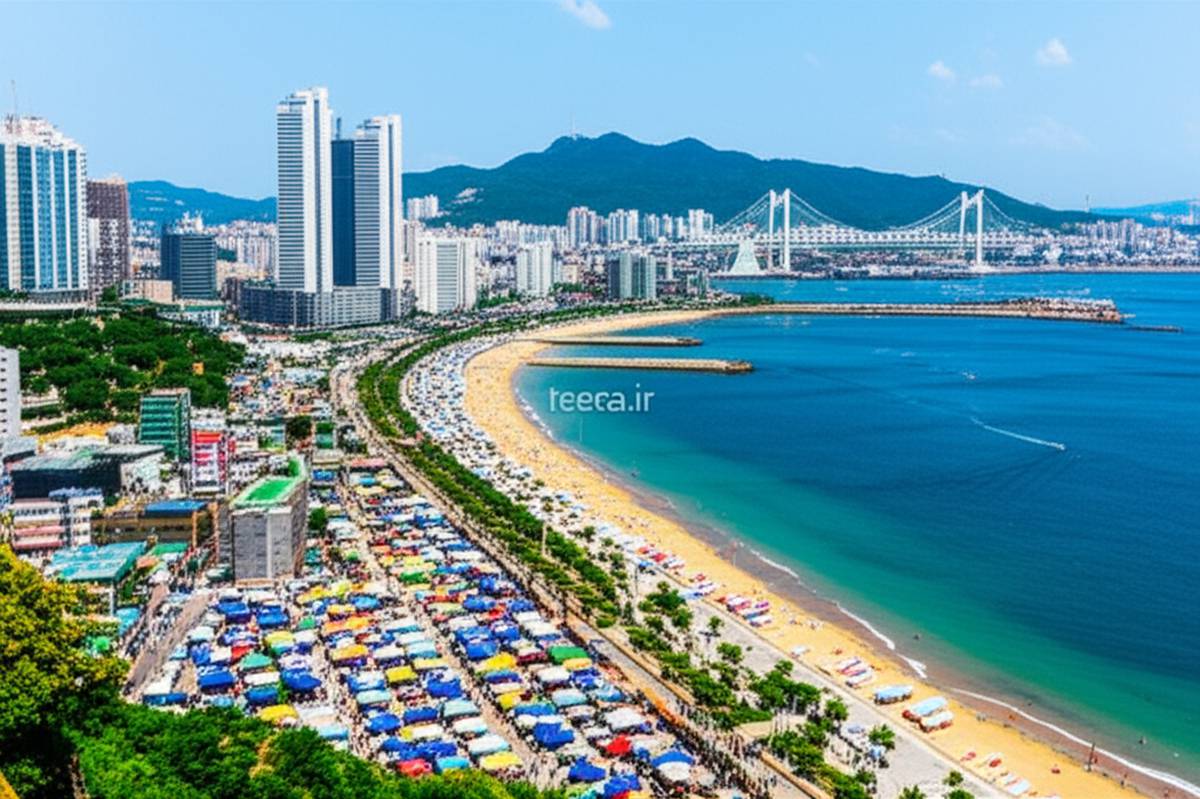 سفر به بوسان، کره جنوبی 🇰🇷 | جاذبه ها، تاریخچه و نکات