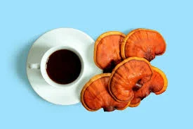 قهوه گانودرما: بخوریم یا نخوریم؟