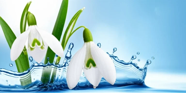 بررسی جامع و راهنمای خرید محلول ضد عفونی کننده دست آنتی کولونیا گل برف فاران شیمی
